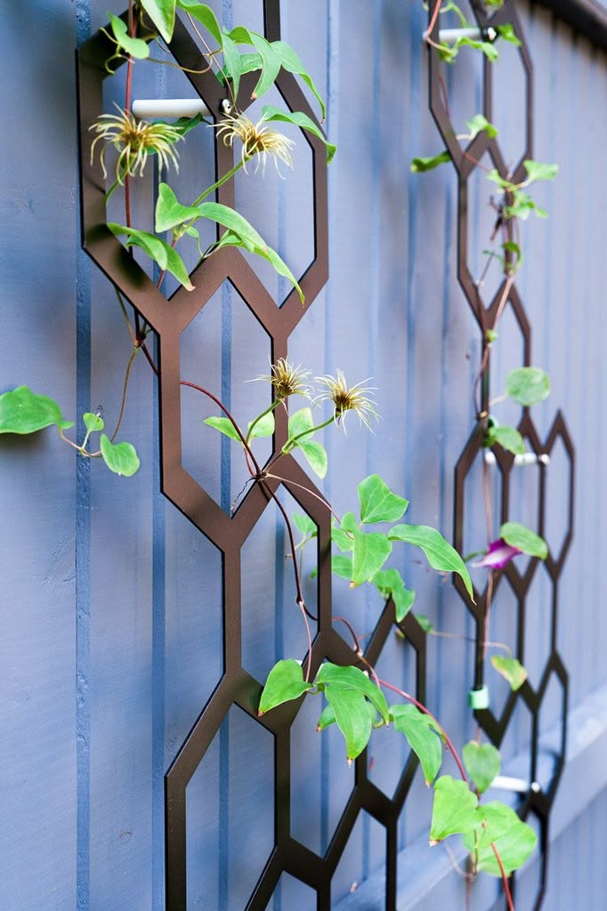 Custom-Made Plant Trellis | Personalized Home & Garden Décor