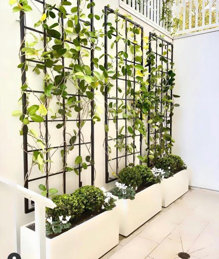 Custom-Made Plant Trellis | Personalized Home & Garden Décor
